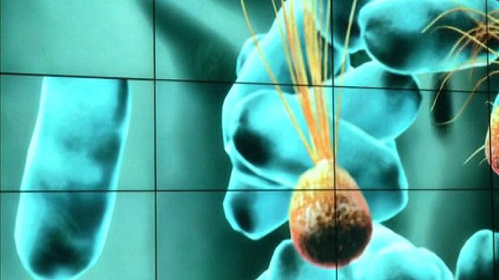 Informativo 24h - Micropia, un museo de microbios