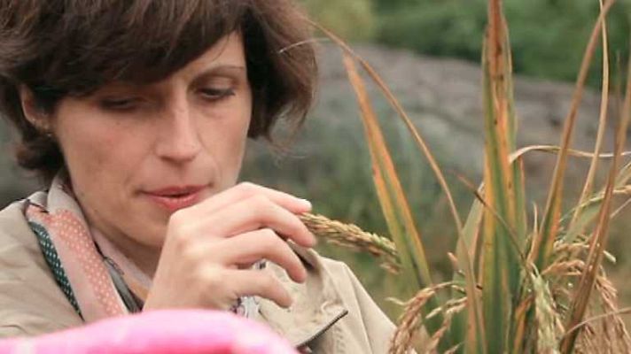 Con mis ojos - Guilin (China)