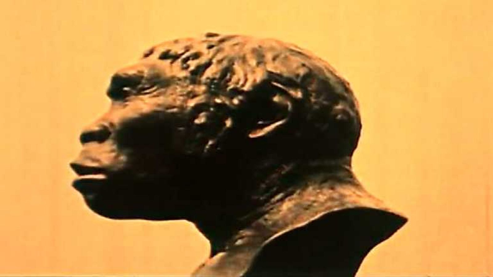 Tres14 - Origen - Ver ahora