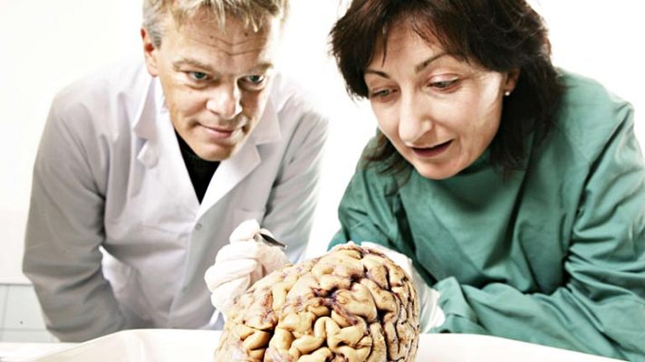 Informativo 24h - Premio Nobel de Medicina 2014