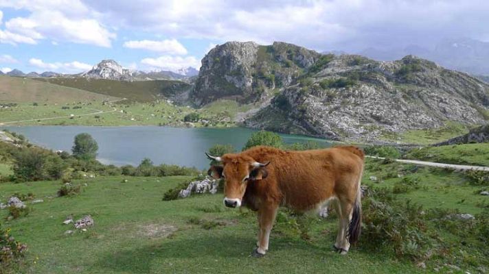 Aquí la Tierra - El lago Enol y el misterio del cambio climático