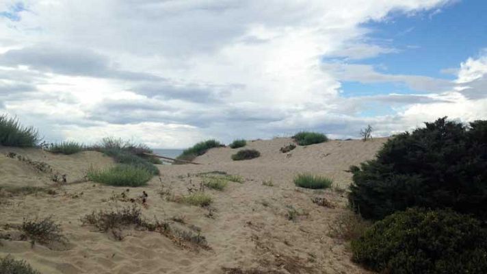Aquí la Tierra - La cara oculta de las dunas marbellíes