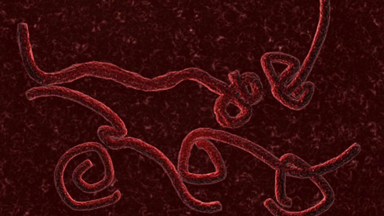 Máximo González, Consejo General de Enfermería: "Hay alarma profesional"