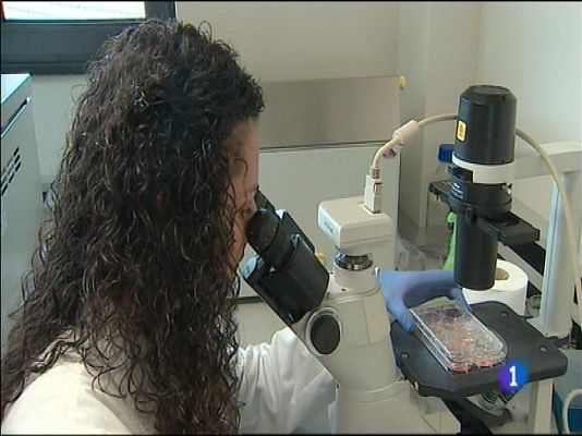 Panorama Regional - Panorama Regional - 07/10/14