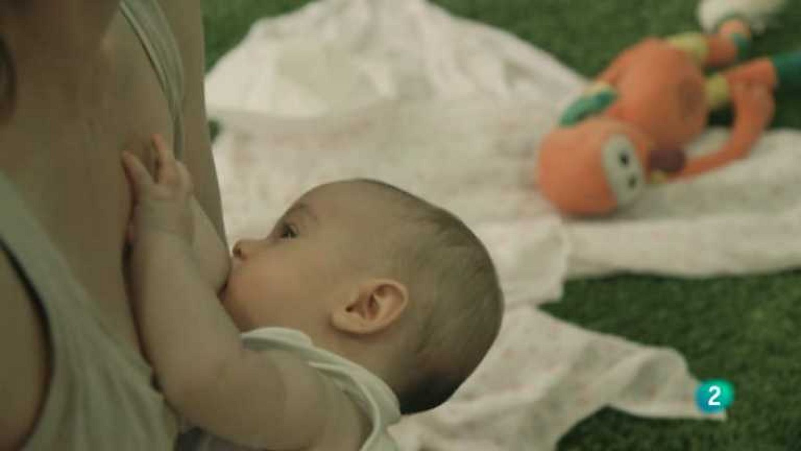 La aventura del saber - 08/10/14 - ver ahora