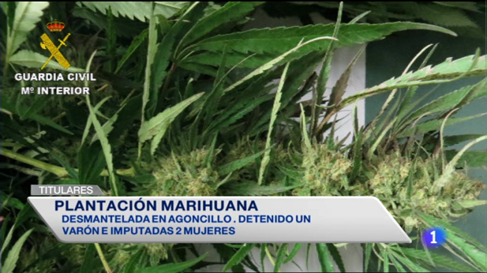 Informativo Telerioja 2 - 08/10/14 | Ver