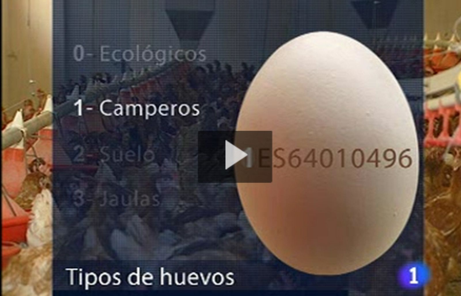 Un número identifica la procedencia de los huevos que consumimos - Ciencia y tecnología en Rtve.es | Ver