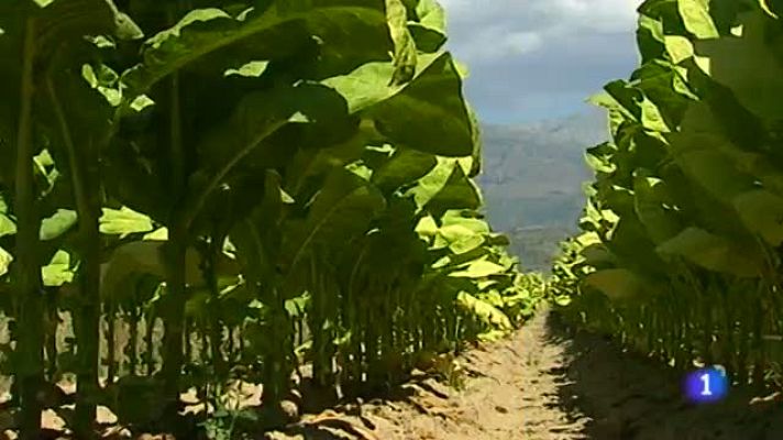 Noticias de Extremadura - Extremadura en 2' - 09/10/14