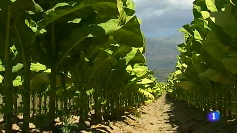 Extremadura en 2' - 09/10/14 | Ver