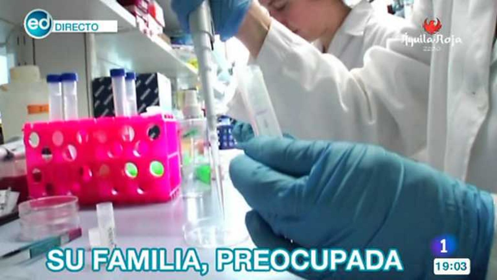 España Directo - 09/10/14 - ver ahora