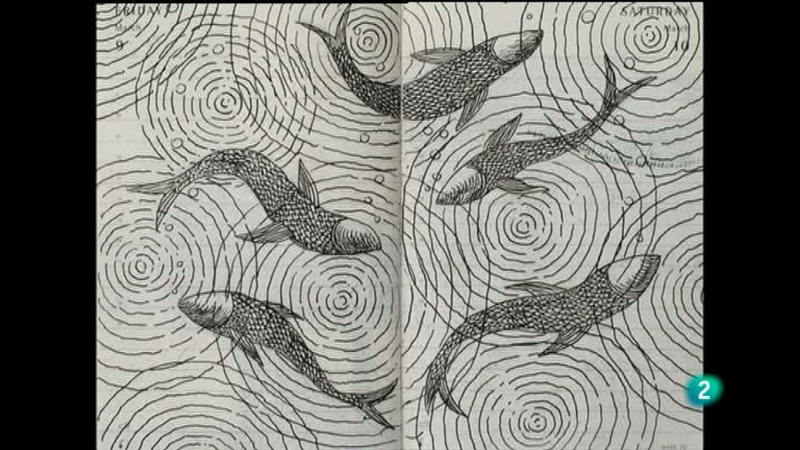 La Aventura del Saber. Boek Visual. Pep Carrió