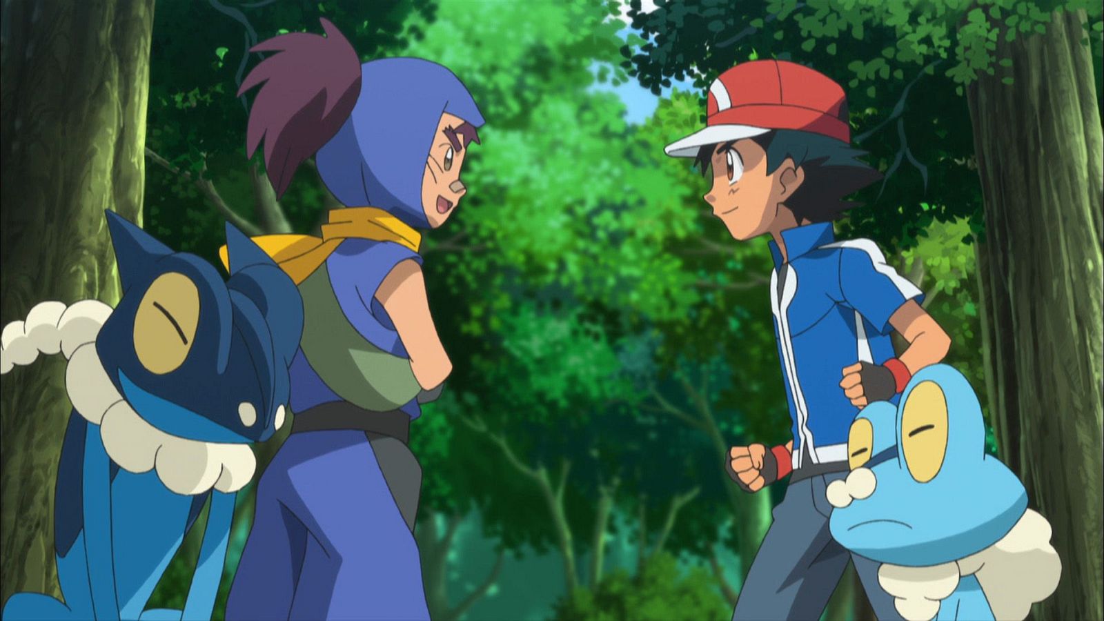 Sabiduría ninja a raudales - Pokémon XY | Ver