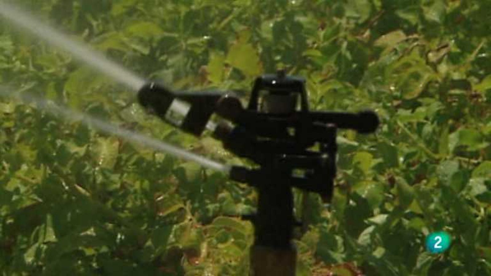 Agrosfera - 11/10/14 - Ver ahora