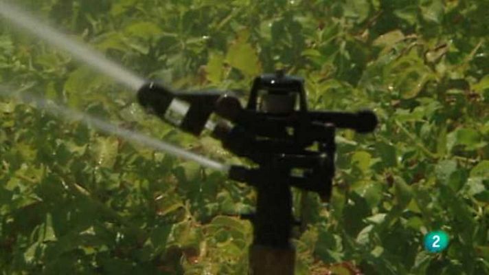 Agrosfera - Agrosfera - 11/10/14