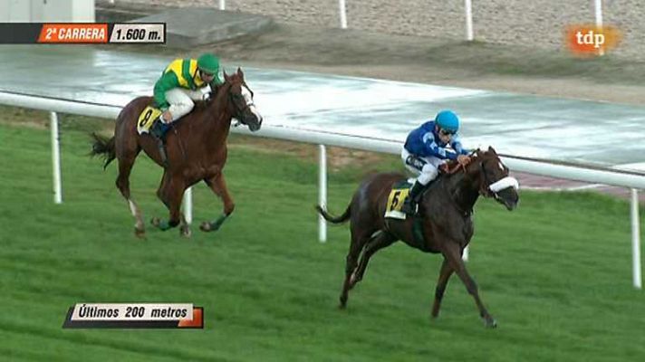 Turf - Turf - 12/10/14