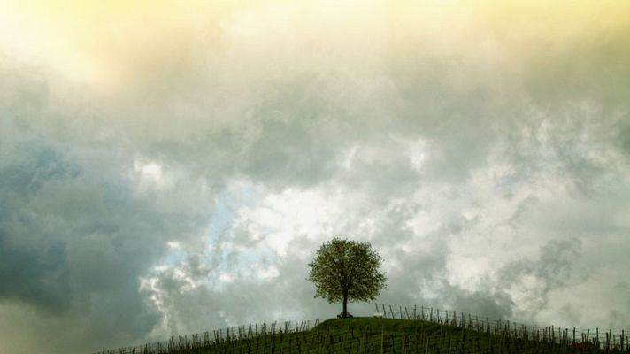 Informativo de Madrid - El Tiempo en la Comunidad de Madrid - 14/10/14