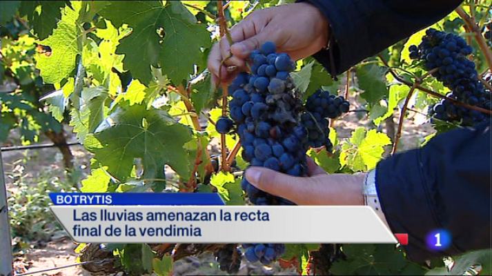 Informativo Telerioja - Telerioja en 2' - 14/10/14