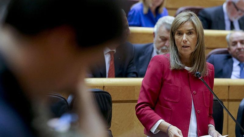 Mato cree que se actuó con "diligencia" ante la situación "inédita" de contagio de ébola