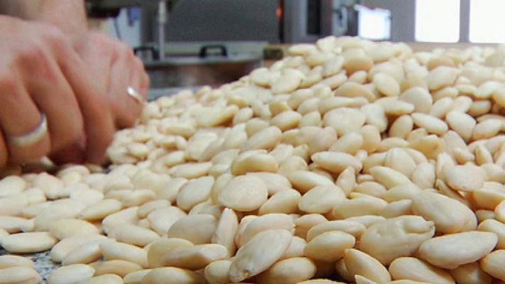 Aquí la Tierra - A las ricas peladillas todo el año