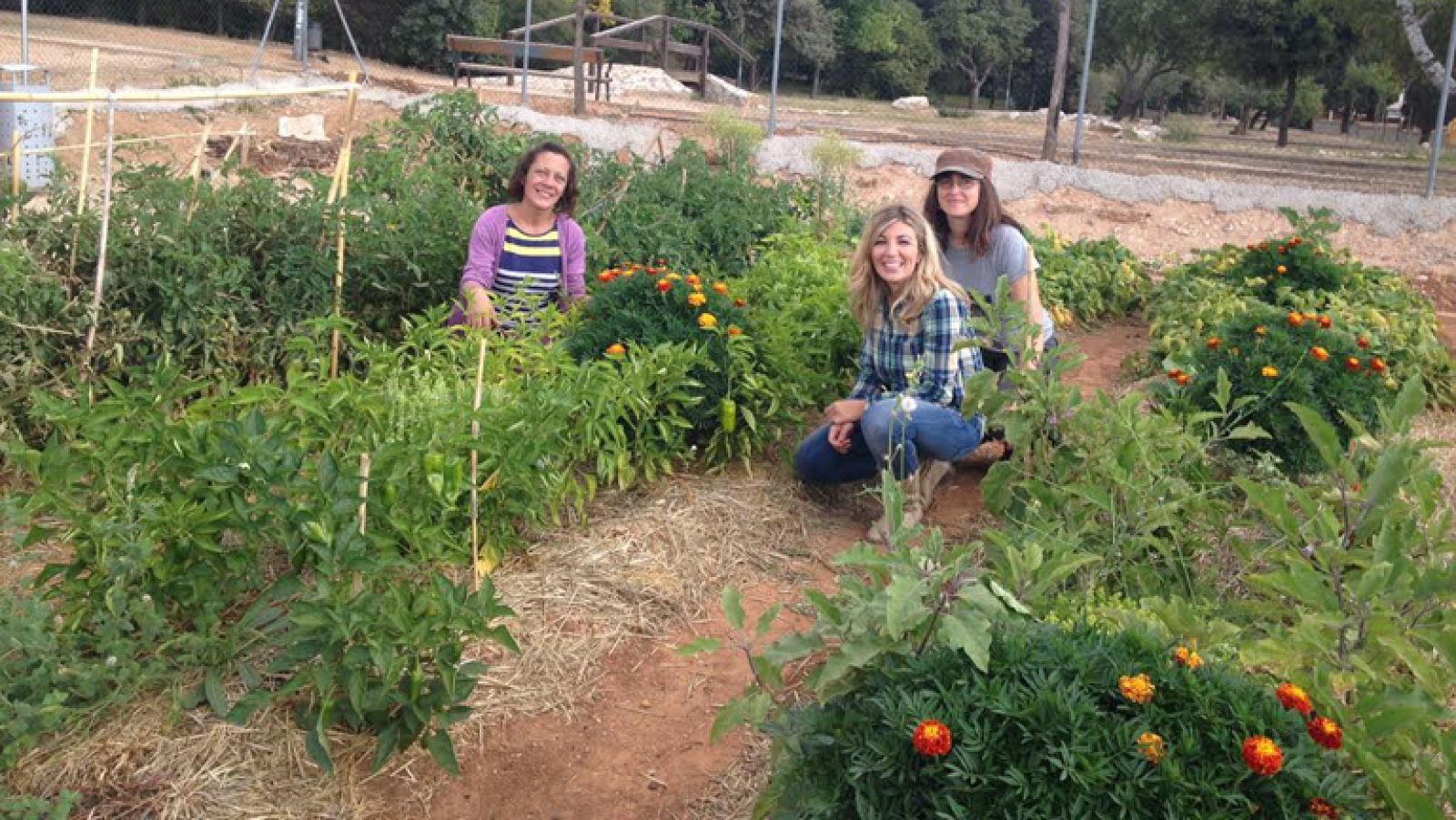 Huertas buenas para buena gente