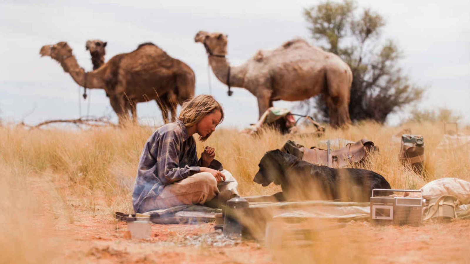 'El viaje de tu vida'