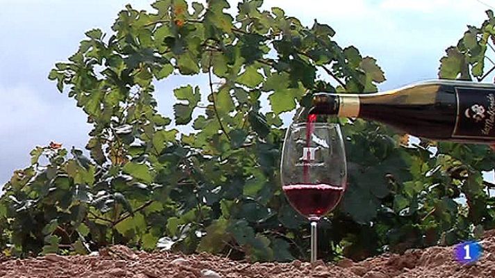 Telediario 1 - Para beber buen vino no es necesario gastar mucho dinero