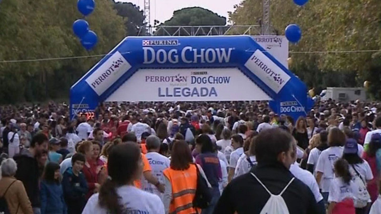 Informativo de Madrid 2 - 20/10/14