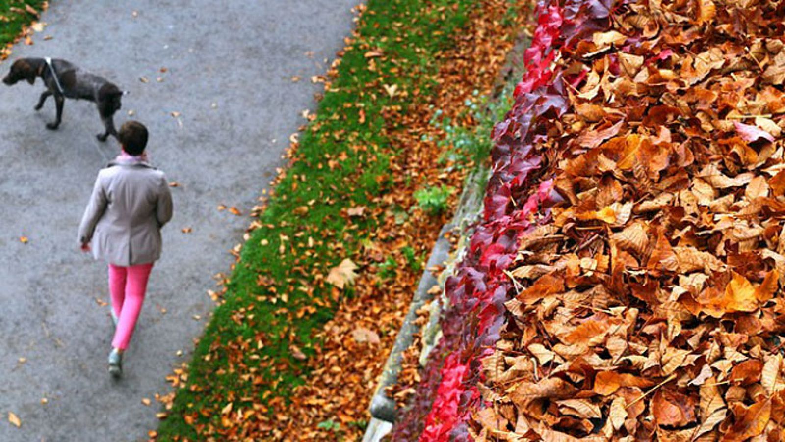 El tiempo en la Comunidad de Madrid - 21/10/14