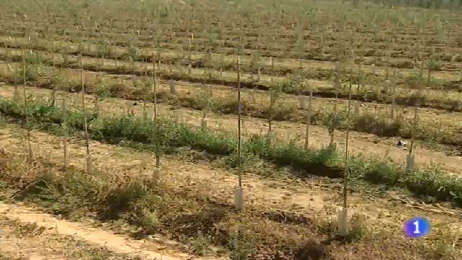 Extremadura en 2' - 21/10/14 | Ver