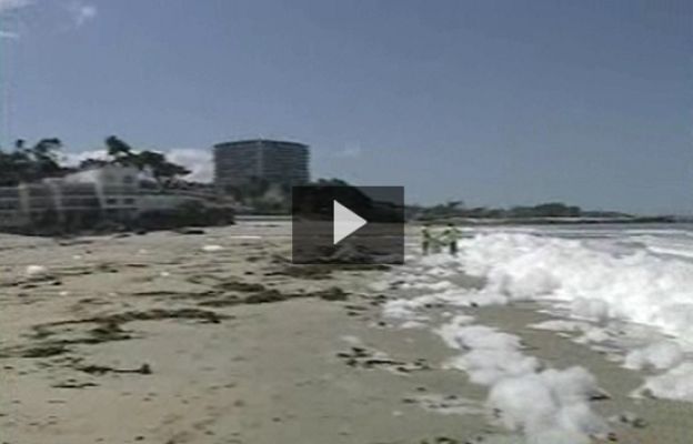  - La Playa de Samil ya está limpia