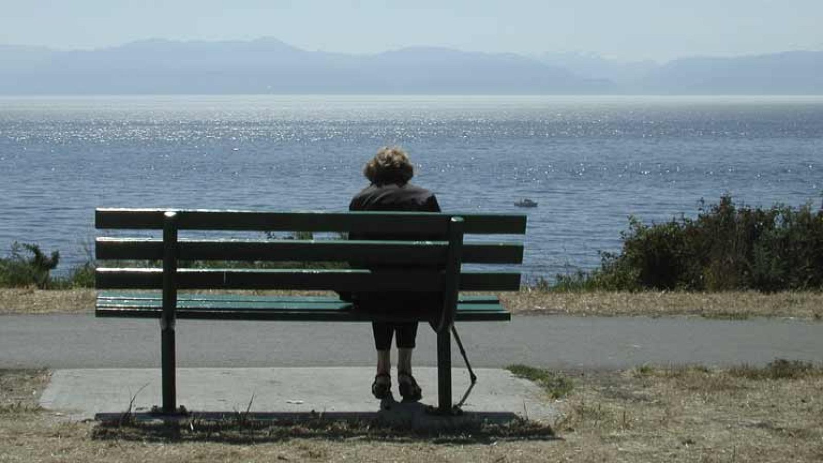 ¿Puedo cobrar la viudedad y cotizar por trabajar?