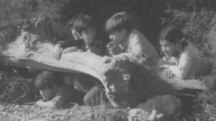 Crónicas de un pueblo - La oveja negra