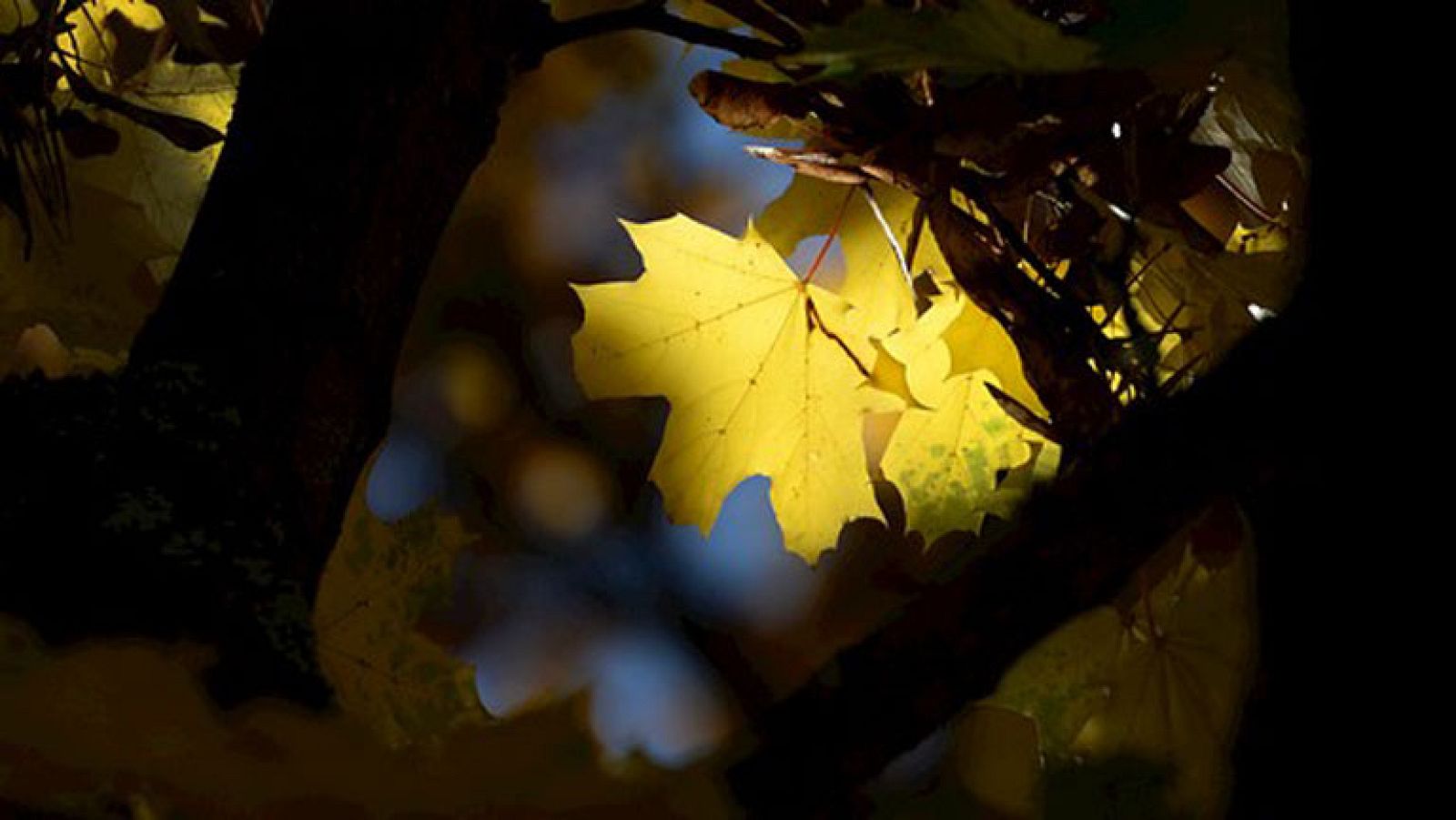 Viento fuerte en Gerona y zonas del este de Baleares