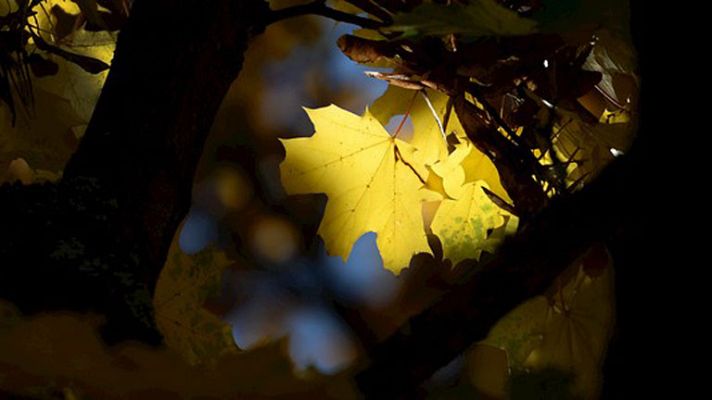 El tiempo - Viento fuerte en Gerona y zonas del este de Baleares
