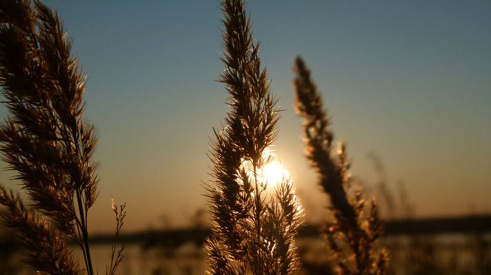 El tiempo - Predominará el cielo poco nuboso o despejado en toda España