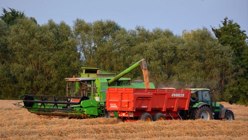 El desempleo en el tercer trimestre subió en agricultura y bajó en el resto de sectores