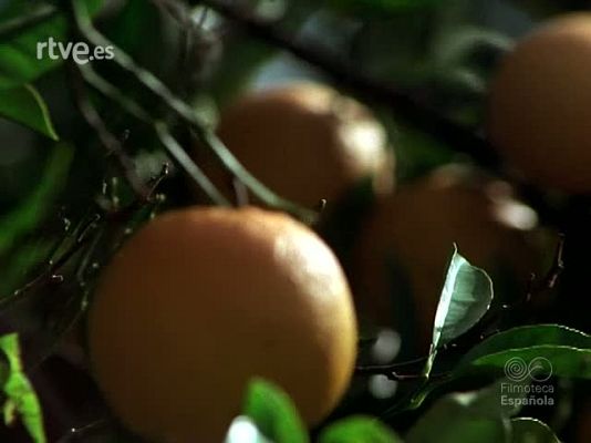 Documentales Color - LOS REYES DE ESPAÑA EN CASTELLON DE LA PLANA