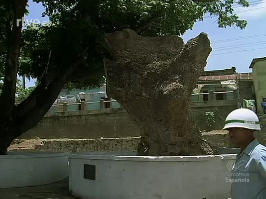 Documentales Color - VIAJE REAL AL CONTINENTE AMERICANO