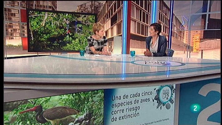 Para todos La 2 - ONG - SEO/BirdLife