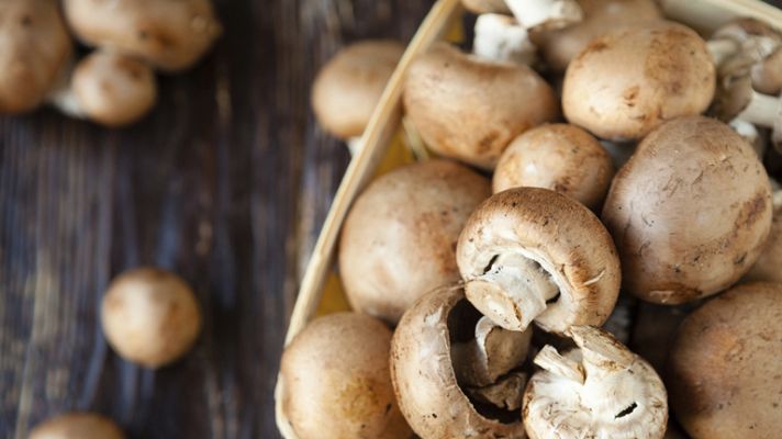 Aquí la Tierra - Setas por doquier para recoger y comer