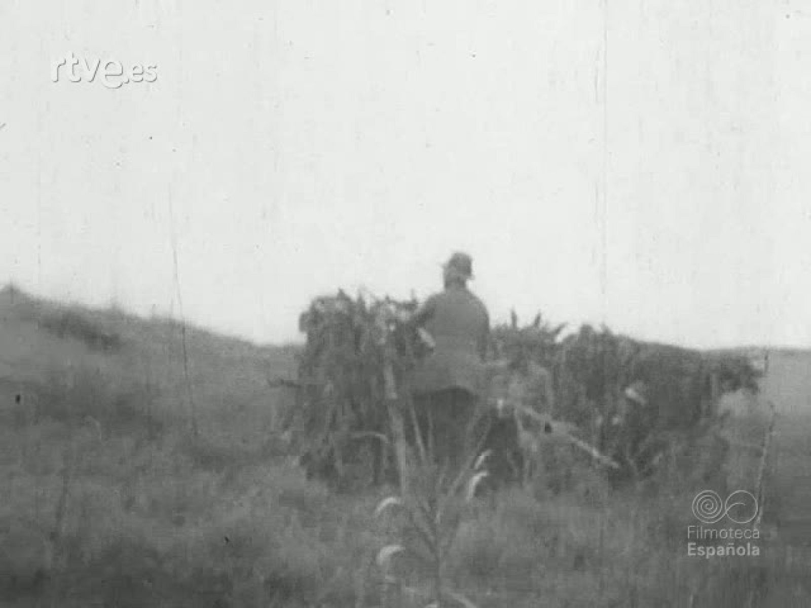 CACERIA REGIA EN LACHAR (GRANADA) - Archivo Real (Alfonso XIII) | Ver