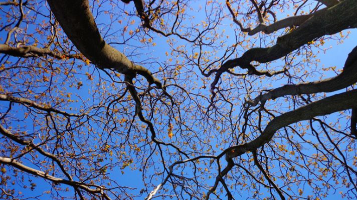 El tiempo - Predominio de cielos poco nubosos o despejados en todo el país y temperaturas estables