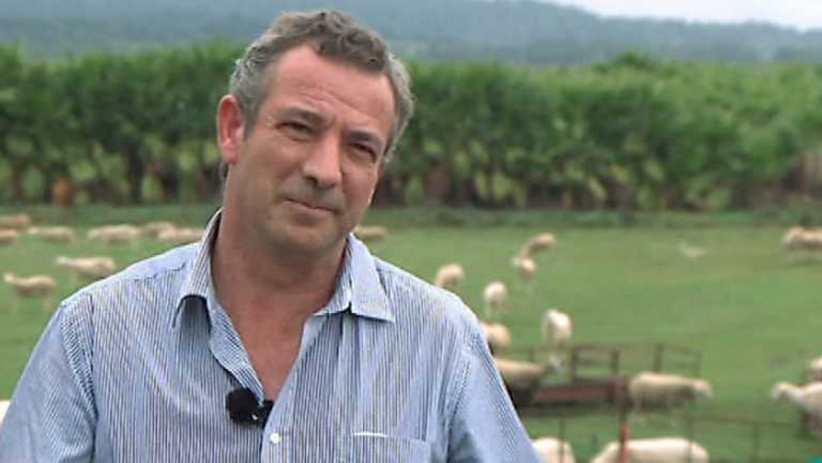 Agrosfera - 25/10/14 - Ver ahora