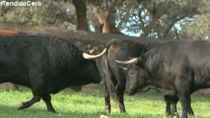 Tendido cero - Tendido Cero - 25/10/14