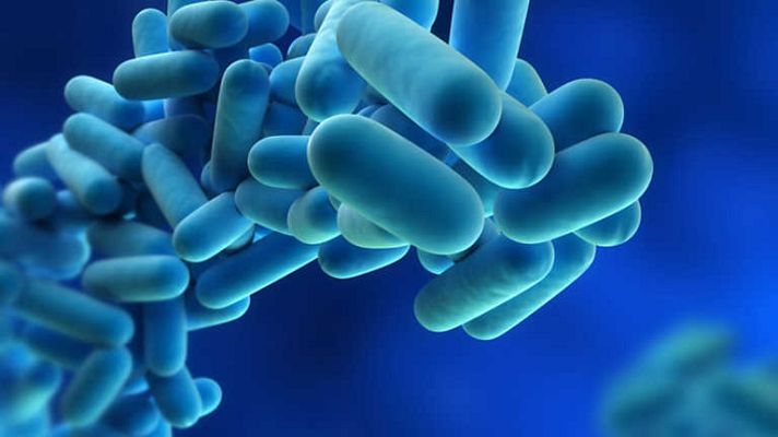 Informe Semanal - Legionela, la bacteria que vuela