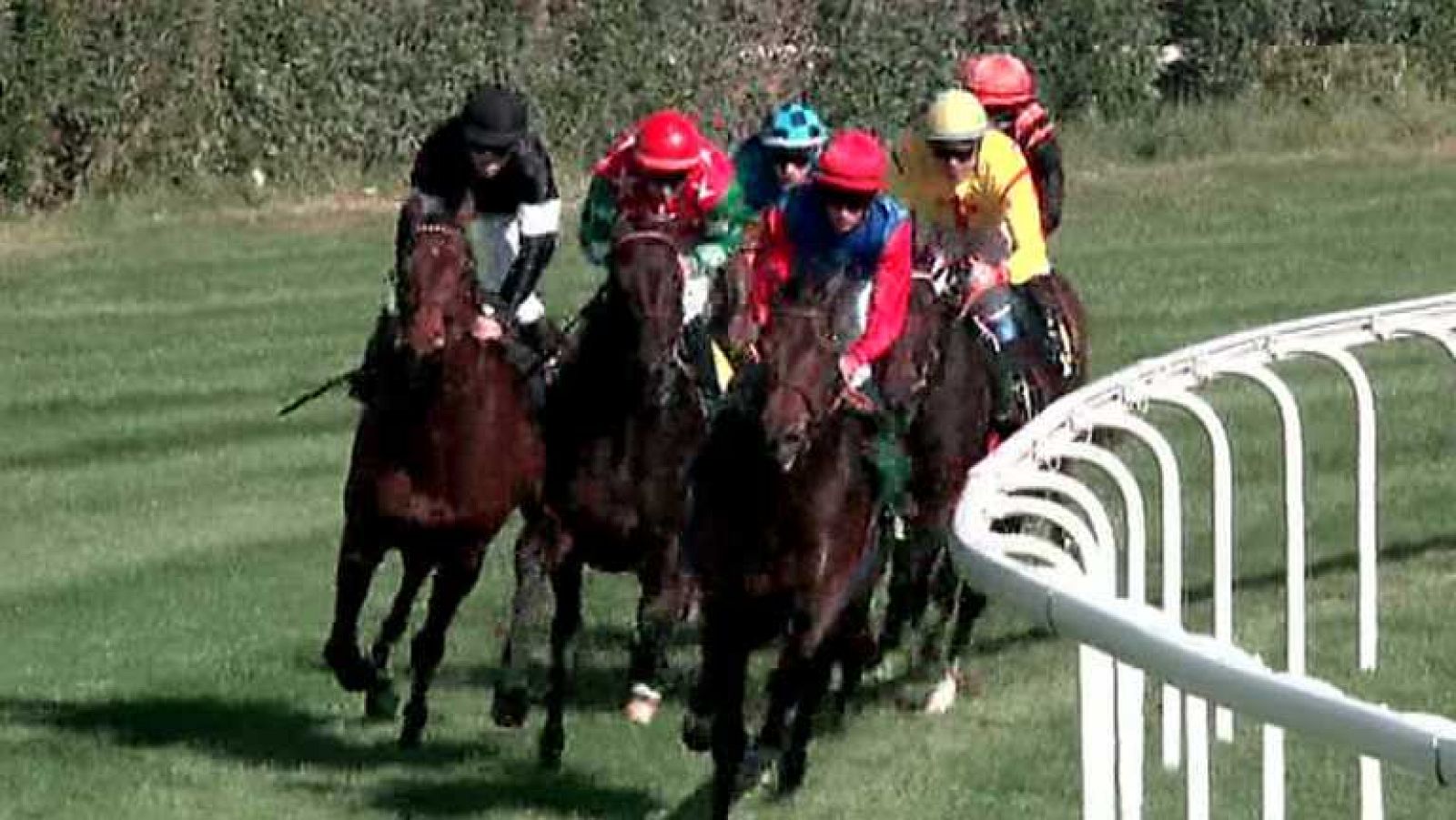 Turf - 26/10/14 - Ver ahora