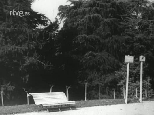 Archivo Real (Alfonso XIII) - ALFONSO XIII CON UNIFORME DE HUSAR