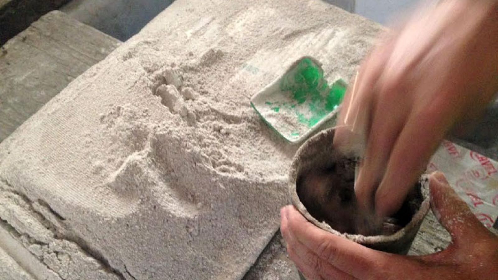 ¿De dónde viene lo de "voz de cazallera"?