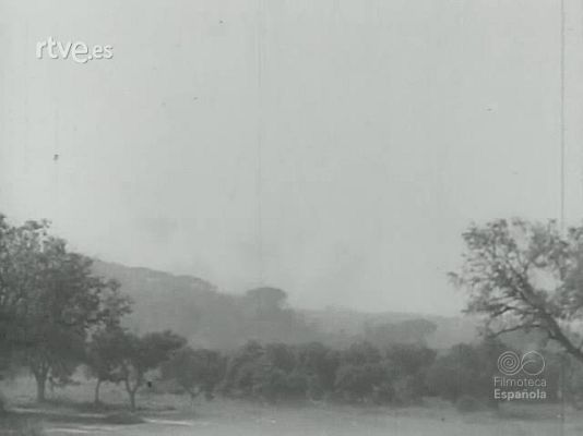 Archivo Histórico - MADRID TUMBA DEL FASCIO. QUINTA JORNADA. DOCUMENTAL NUMERO 9