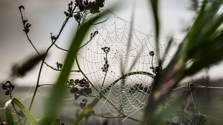 Informativo de Madrid - El tiempo en la Comunidad de Madrid - 28/10/14